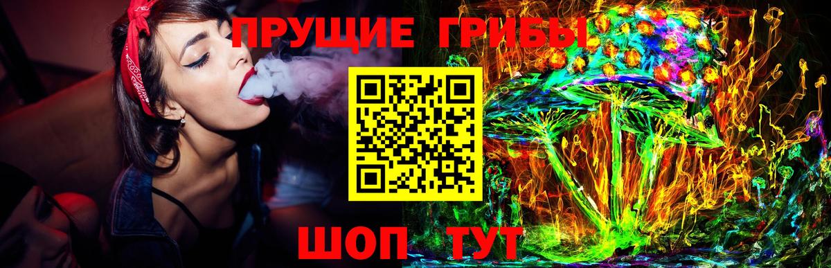 Галлюциногенные грибы Psilocybe Домодедово